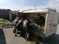 Vogelwiese Eisbaeren 2023